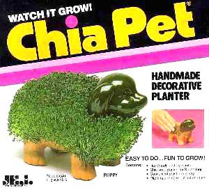 chia