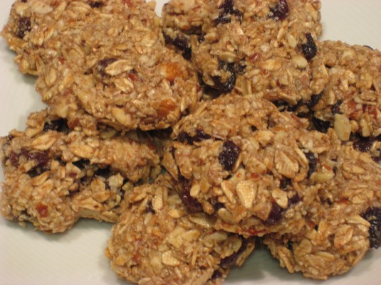 oatmeal cookies close up
